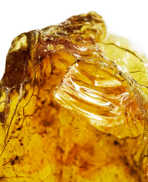 Cool Water Intense Eau de Parfum by Davidoff